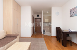 /c_images/thumb_3682387_4_one-bedroom-studio-for-rent-podgorica-crna-gora-arenda-5.jpg