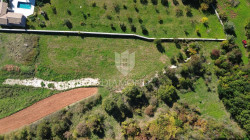 /c_images/thumb_3682548_1_1761032191_dji_0611.jpg