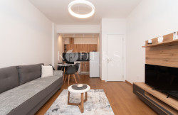 /c_images/thumb_3683264_2_apartment-for-rent-podgorica-centar-stara-varos-pejton-3.jpg