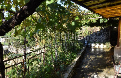 /c_images/thumb_3686060_1_1761568763_prodaja-kuca-16.jpg