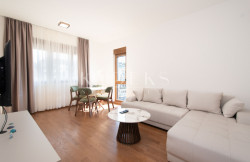 /c_images/thumb_3711390_1_droom-apartment-for-rent-podgorica-krivi-most-momisici-1.jpg