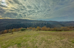 /c_images/thumb_3715902_4_4925406_motovun-area-building-land-with-a-beautiful-view.jpg