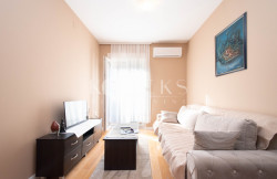 /c_images/thumb_3726761_1_apartment-for-rent-podgorica-central-point-big-fashion-1.jpg