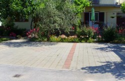 /c_images/thumb_593914_4_Neven_12112parking.JPG