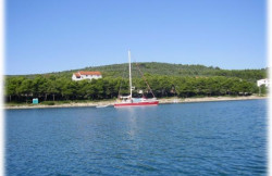 /c_images/thumb_832933_2__Lidija_0b4b9baee8fb.jpg