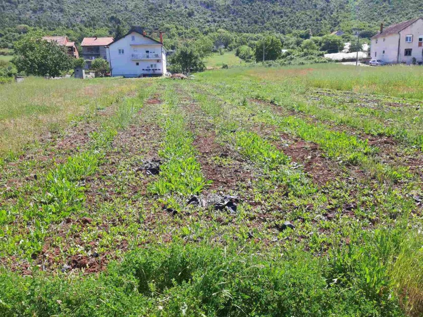 Prodajem Zemlji te Malo Polje Blagaj