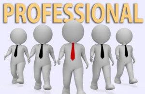 thumb_1065102_profesional-duplex.jpg