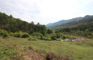 thumb_2413432_img_5022.jpg