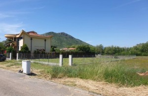 thumb_2423558_tolosi.jpg