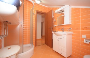 thumb_2437172_prodaja-kuca-sa-placem-u-krasicima-tivat-20.jpg