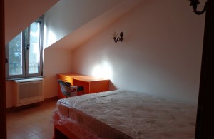 thumb_2468817_5.jpg