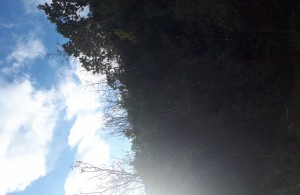 thumb_2472762_20201223_130953.jpg
