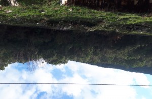 thumb_2472762_20201223_131014.jpg