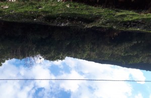 thumb_2472762_20201223_131016.jpg