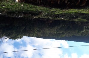 thumb_2472762_20201223_131018.jpg