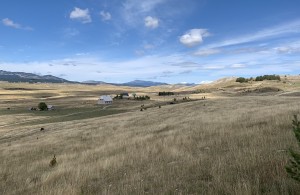 thumb_2473469_zabljak-plac-1.jpg