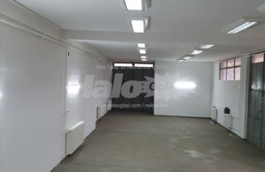 thumb_2506987_2.jpg
