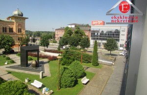 thumb_2511945_img_2334.jpg