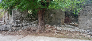 thumb_2561526_11.jpg