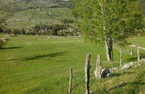 thumb_2569879_img-fb0a6d761aa6f898affdb0d0f26b5d40-v.jpg