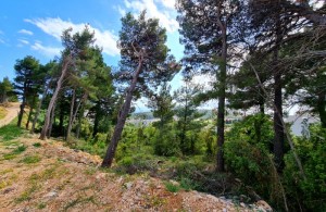 thumb_2579420_makarska-zemljiste-1841m2--13-.jpg