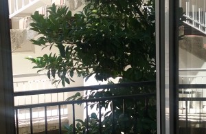 thumb_2598286_20160606_102223.jpg