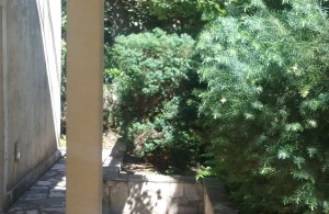 thumb_2598286_20160606_102243.jpg