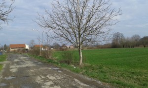 thumb_2598586_2.jpg