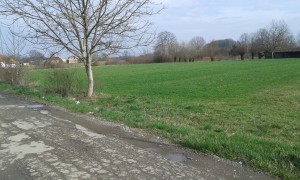 thumb_2598586_3.jpg