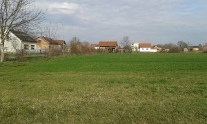 thumb_2598586_4.jpg
