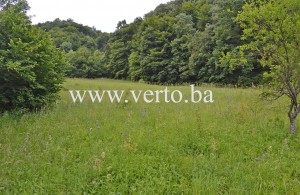 thumb_2599363_ja---nekretnine---si-selo---vrsani---verto---real-estate.jpg