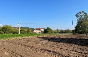 thumb_2627871_ljesevo-krcenje-2.jpg
