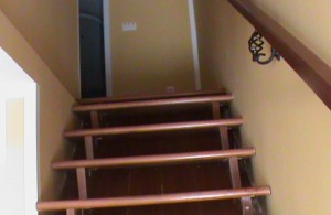 thumb_2628887_img-8921d945add09bb0d45287b1ac80dd4a-v.jpg