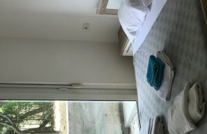 thumb_2633017_img_2389.jpg