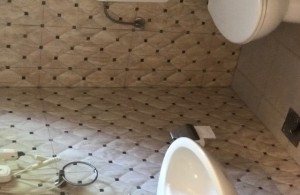 thumb_2633017_img_2390.jpg