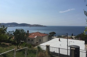 thumb_2645529_img_6405.jpg