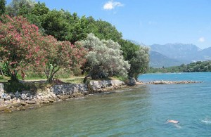 thumb_2649750_beach.jpg