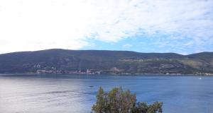 thumb_2671712_7.jpg