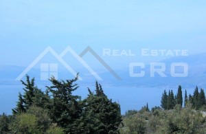 thumb_2685807_for_a_house_with_a_swimming_pool_and_sea_view_for_sale_1.jpg