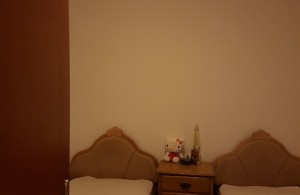 thumb_2707975_img-96cc76d393964545fb3d88ef4ea532a2-v.jpg