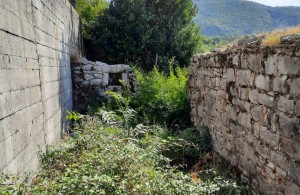 thumb_2717525_kuca-rusevina-plac--pestorici--iznad-zelenike.jpg