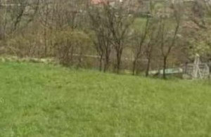 thumb_2754633_screenshot_20220331-162414_gallery.jpg