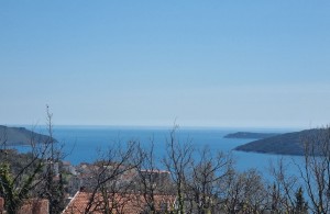 thumb_2773206_8.jpg