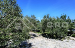 thumb_2782938_eautiful_surrounding_near_the_sea_and_a_beach_for_sale_2.jpg