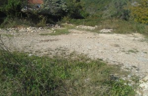 thumb_2790510_1.jpg