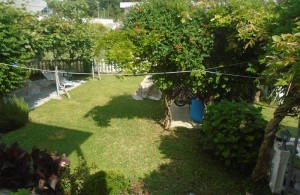 thumb_2792037_5.jpg