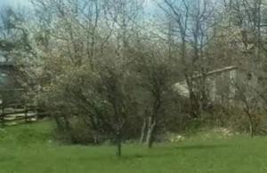 thumb_2798764_screenshot_20220620-130135_gallery.jpg