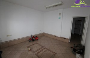 thumb_2802487_img_7684.jpg