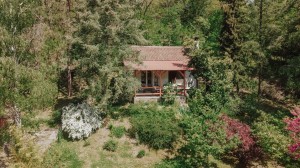 thumb_2817567_dji_0144.jpg