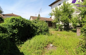 thumb_2819604_img_7985.jpg